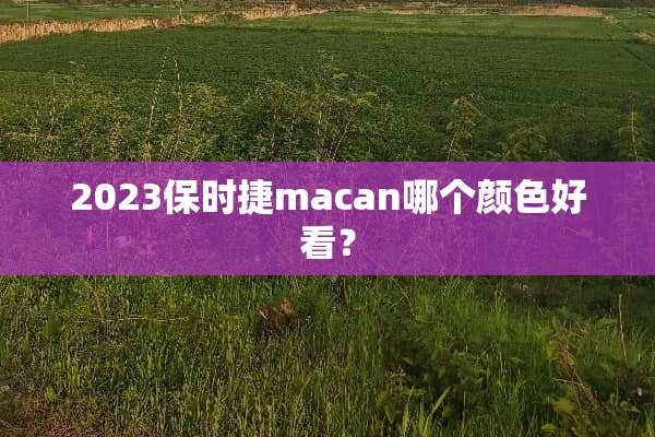 2023保时捷macan哪个颜色好看？