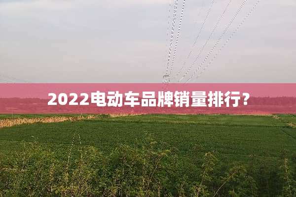 2022电动车品牌销量排行？