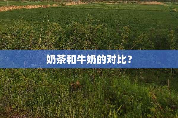 奶茶和牛奶的对比？