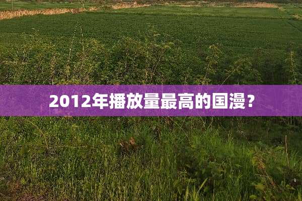 2012年播放量最高的国漫？