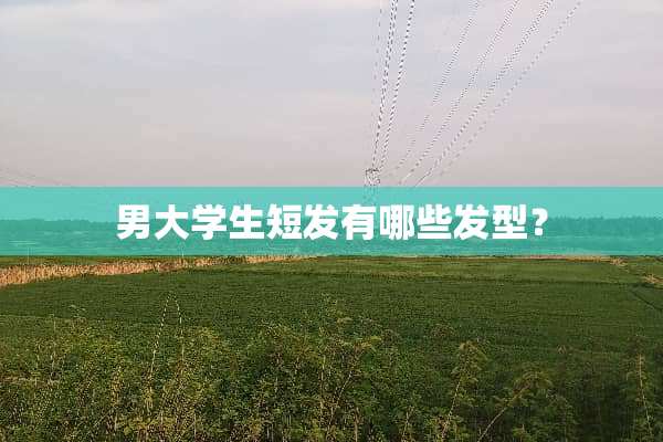 男大学生短发有哪些发型？