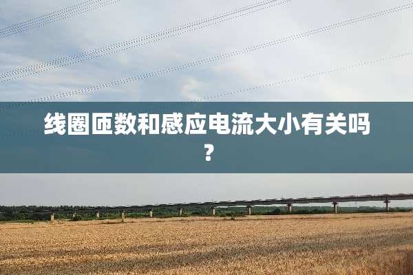 线圈匝数和感应电流大小有关吗？
