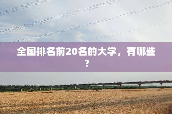 全国排名前20名的大学，有哪些？