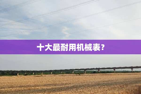 十大最耐用机械表？
