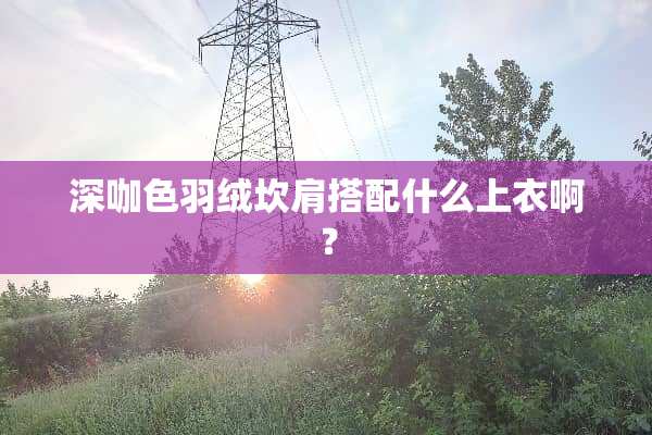 深咖色羽绒坎肩搭配什么上衣啊？