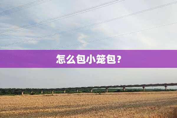 怎么包小笼包？