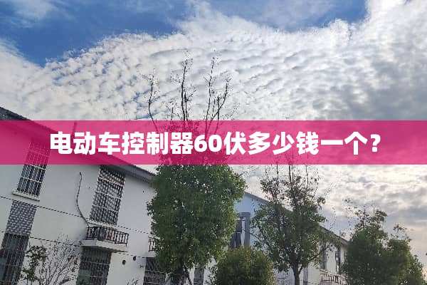电动车***60伏多少钱一个？
