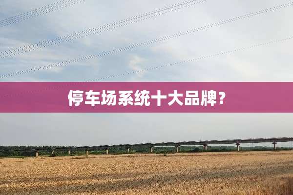 停车场系统十大品牌？
