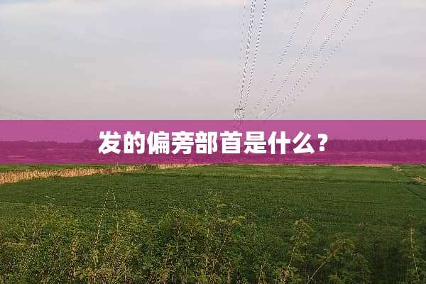发的偏旁部首是什么？