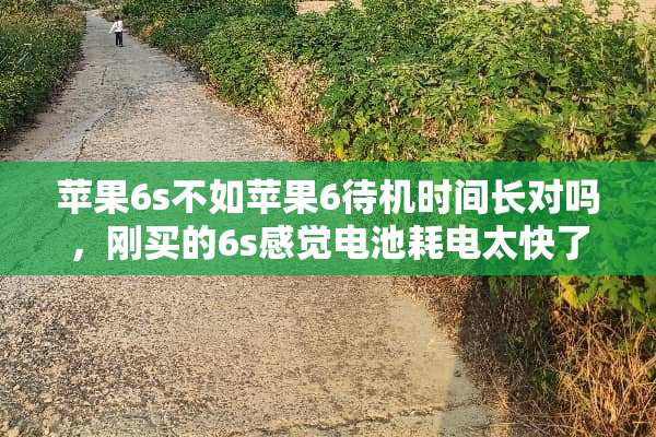 苹果6s不如苹果6待机时间长对吗，刚买的6s感觉电池耗电太快了？