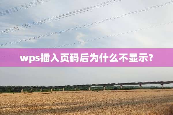 wps插入页码后为什么不显示？