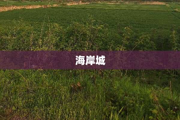 海岸城