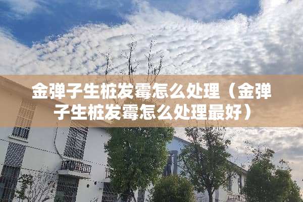 金弹子生桩发霉怎么处理（金弹子生桩发霉怎么处理最好）