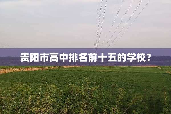 贵阳市高中排名前十五的学校？
