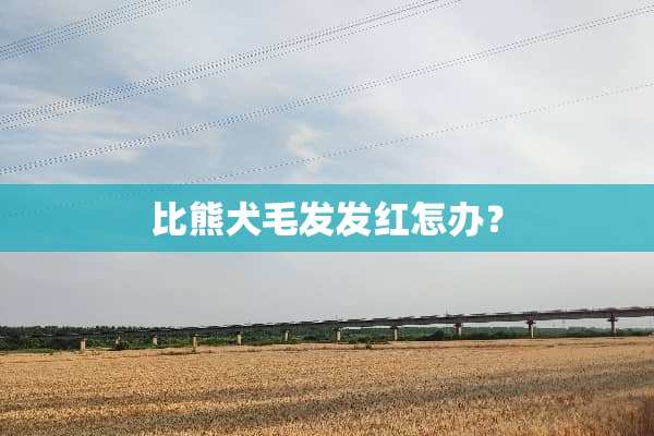 比熊犬毛发发红怎办？