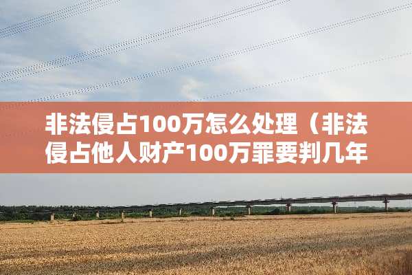 非法侵占100万怎么处理（非法侵占他人财产100万罪要判几年）