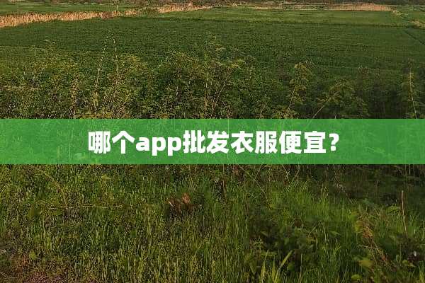 哪个app批发衣服便宜？