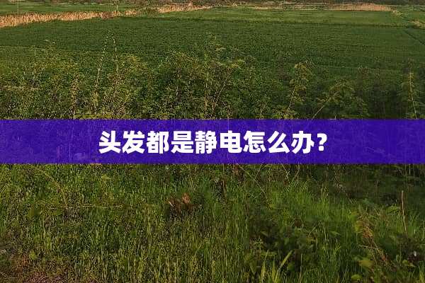 头发都是静电怎么办？