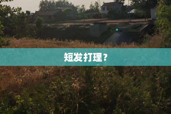 短发打理？