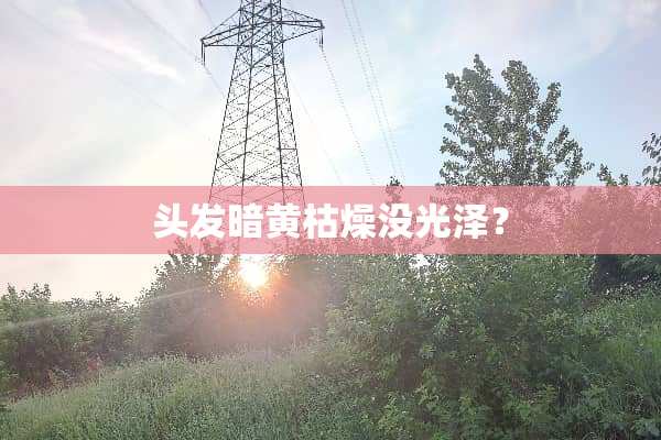 头发暗黄枯燥没光泽？