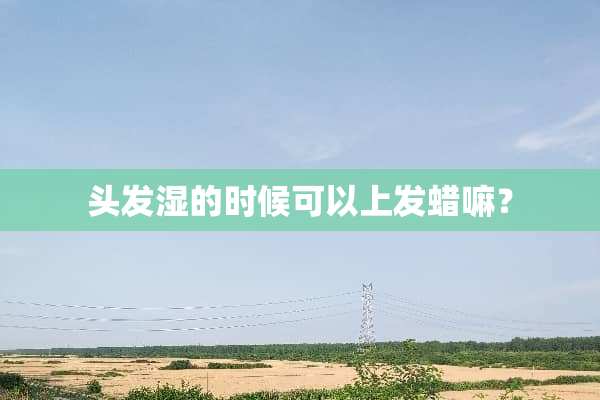 头发湿的时候可以上发蜡嘛？
