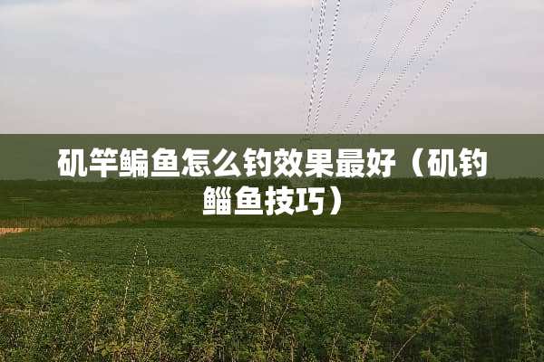 矶竿鳊鱼怎么钓效果最好（矶钓鲻鱼技巧）