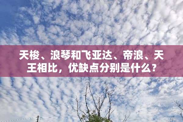 天梭、浪琴和飞亚达、帝浪、天王相比，优缺点分别是什么？