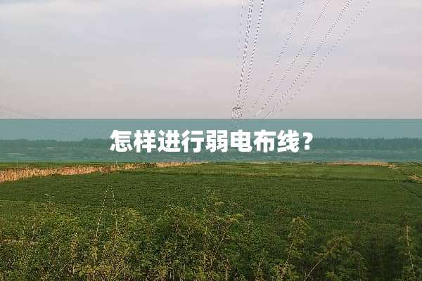 怎样进行弱电布线？