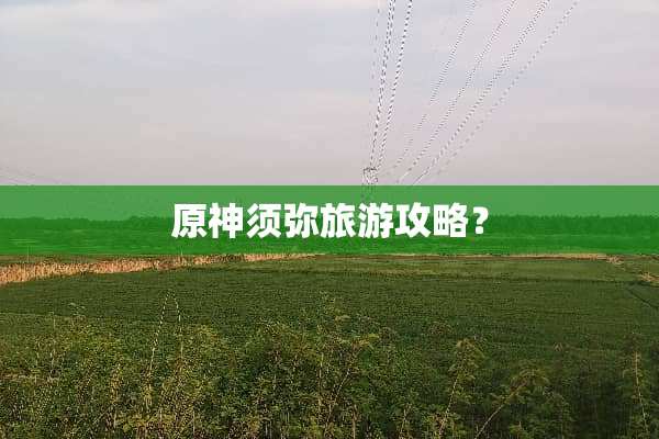 原神须弥旅游攻略？