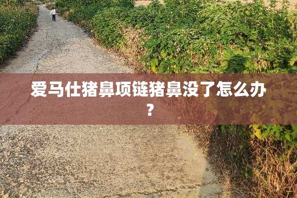爱马仕猪鼻项链猪鼻没了怎么办？