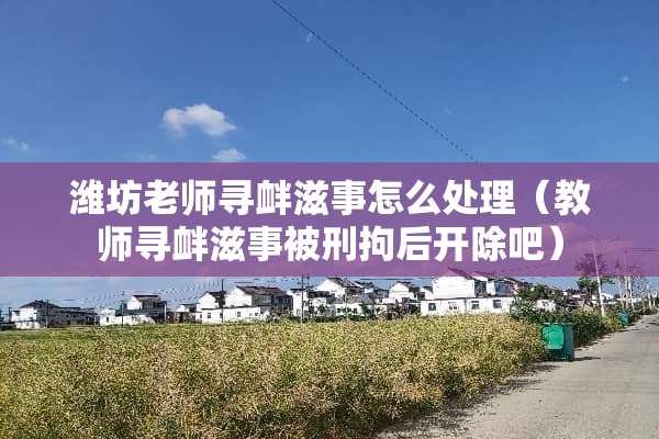 潍坊老师寻衅滋事怎么处理（教师寻衅滋事被刑拘后开除吧）