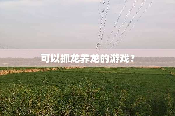 可以抓龙养龙的游戏？