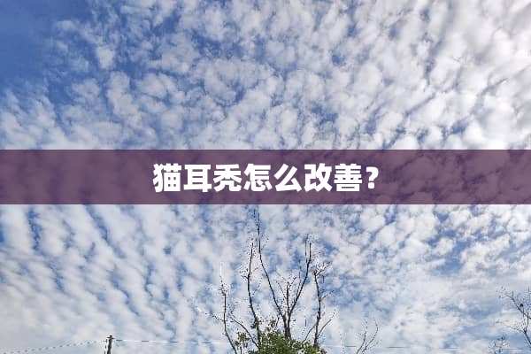 猫耳秃怎么改善？