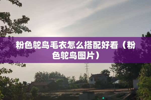 粉色鸵鸟毛衣怎么搭配好看（粉色鸵鸟图片）