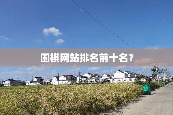 围棋网站排名前十名？