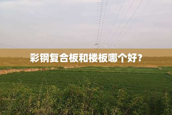 彩钢复合板和楼板哪个好？