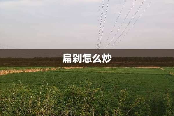 扁剁怎么炒