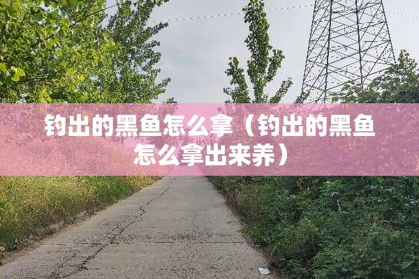 钓出的黑鱼怎么拿（钓出的黑鱼怎么拿出来养）