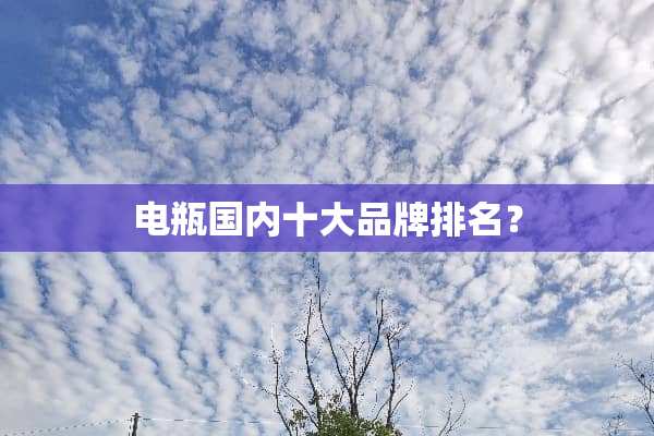 电瓶国内十大品牌排名？