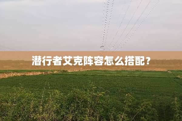 潜行者艾克阵容怎么搭配？