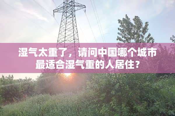 湿气太重了，请问中国哪个城市最适合湿气重的人居住？