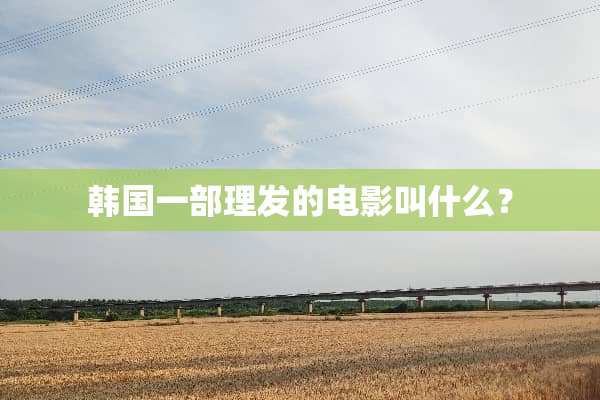 韩国一部理发的电影叫什么？