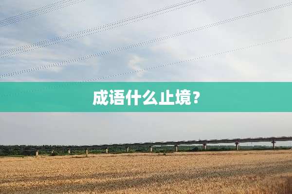 成语什么止境？