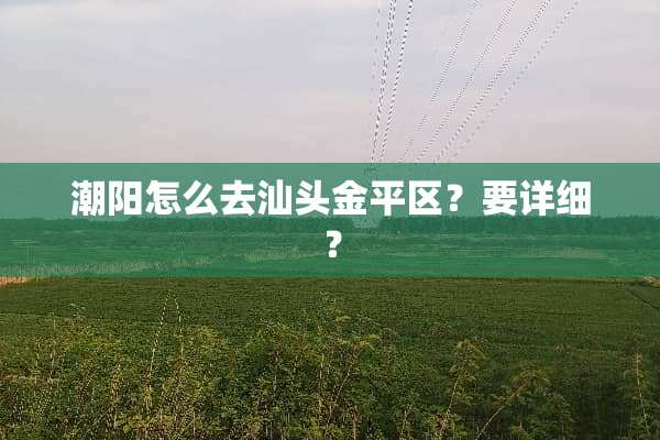 潮阳怎么去汕头金平区？要详细？