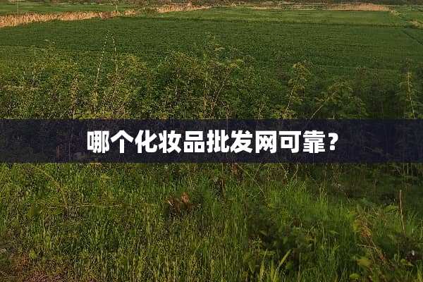 哪个化妆品批发网可靠？