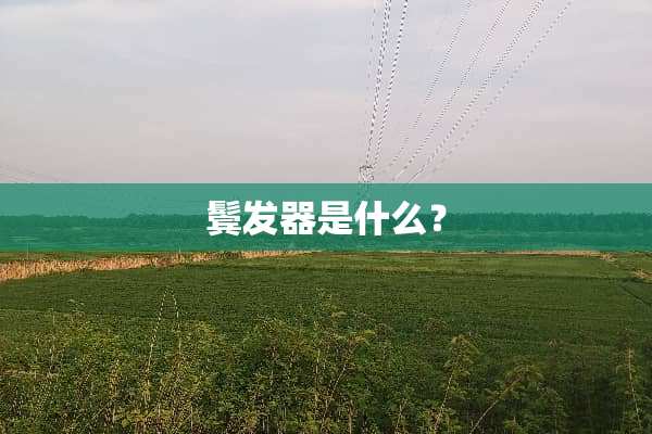 鬓发器是什么？