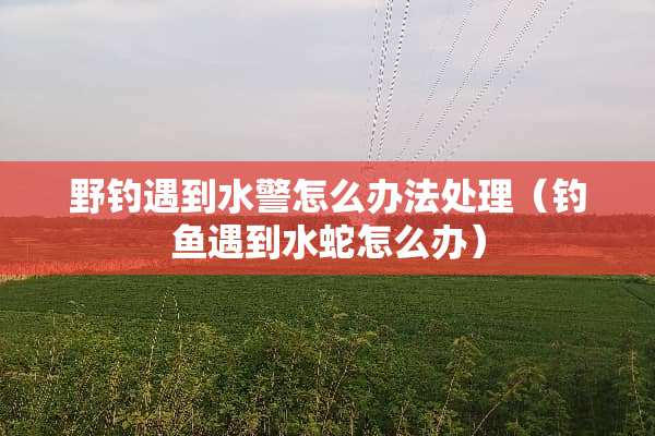 野钓遇到水警怎么办法处理（钓鱼遇到水蛇怎么办）