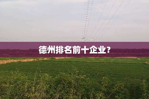 德州排名前十企业？