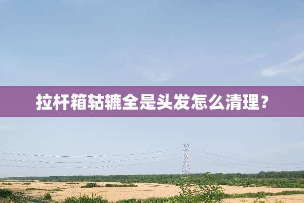 拉杆箱轱辘全是头发怎么清理？