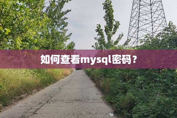 如何查看mysql密码？